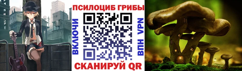 Галлюциногенные грибы GOLDEN TEACHER Ртищево